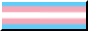 an 88x31 button of the transgender flag.